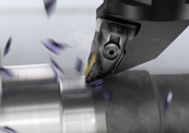 PrimeTurning™ webinars